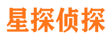 柳北市私家侦探